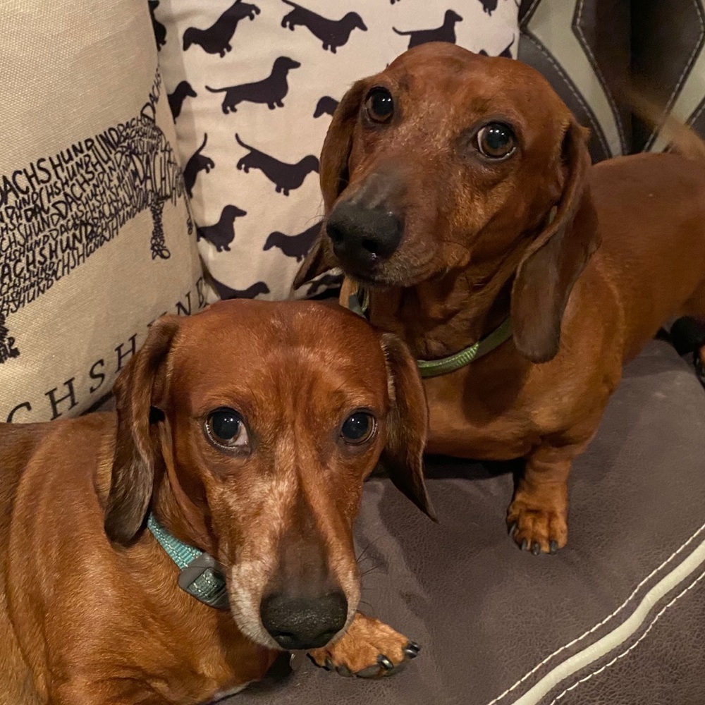 Meet your Posher, Tracy